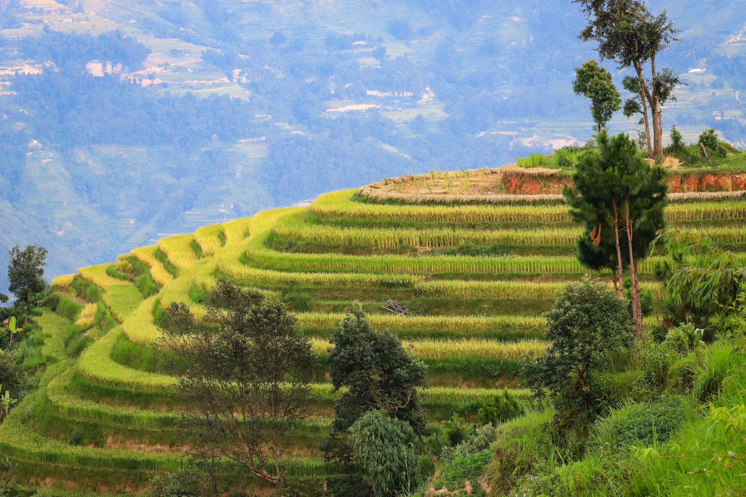 Tour Đông Bắc 6 Ngày 5 Đêm: Hà Giang – Lũng Cú – Đồng Văn – Sông Nho Quế – Thác Bản Giốc – Hồ Ba Bể