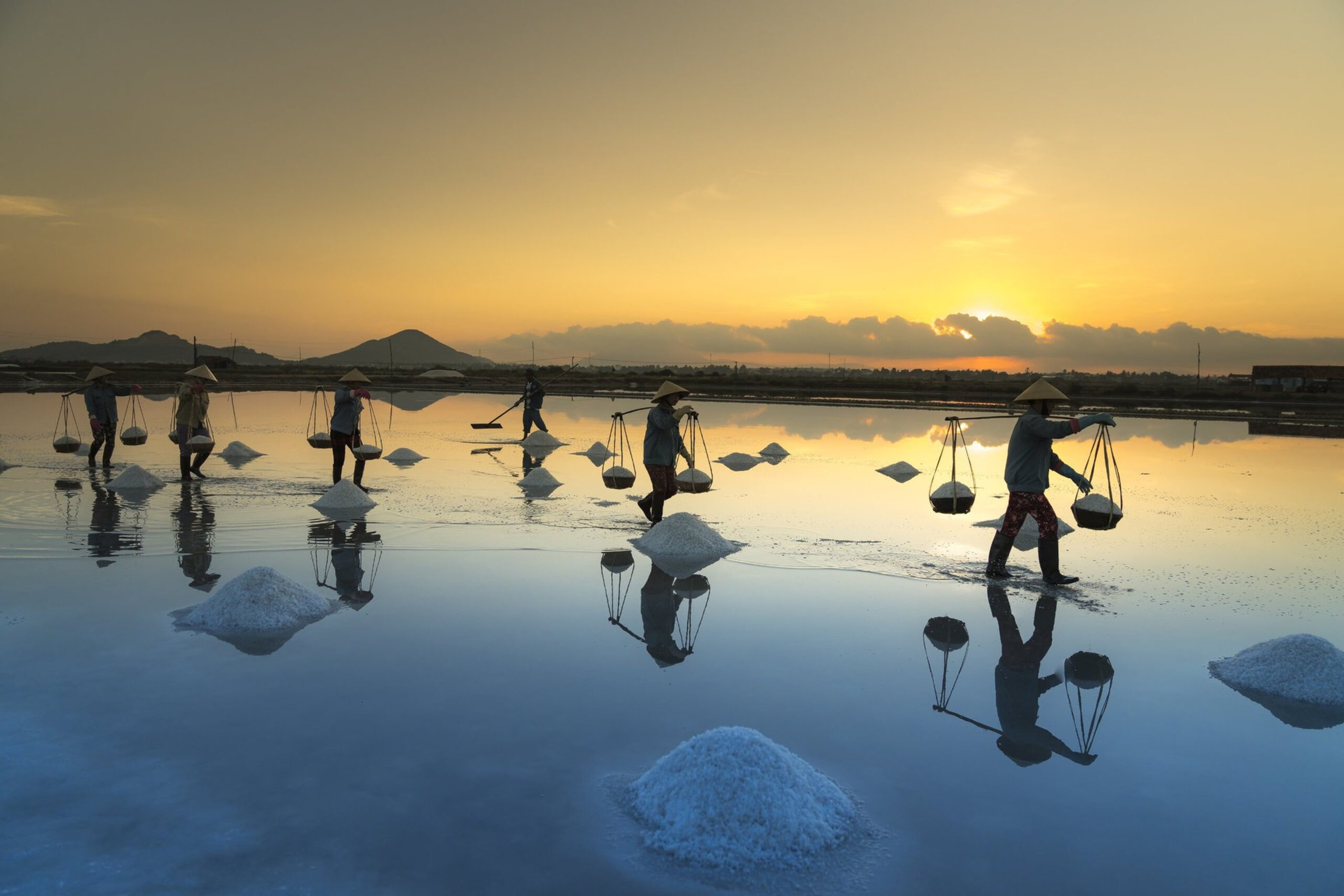 Tour Ninh Chữ 3 Ngày 2 Đêm: Biển Ninh Chữ – Hang Rái – Vườn Nho – Tháp Po Klong Garai