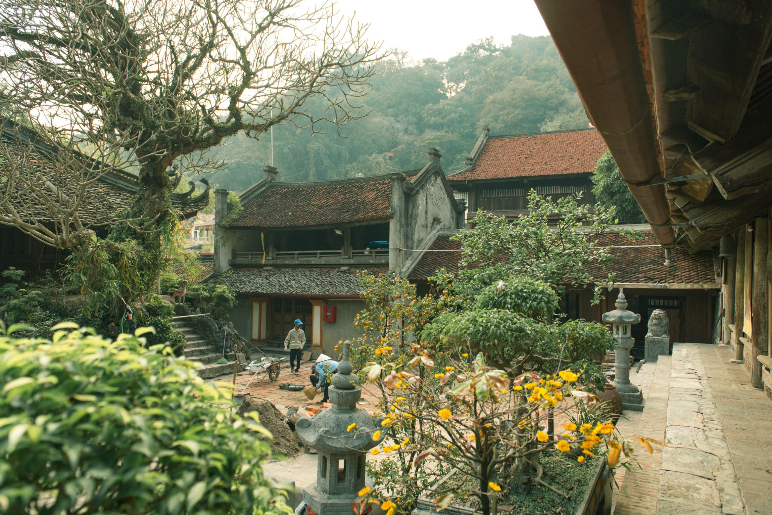 Tour Về Miền Đất Tổ 4 Ngày 3 Đêm: Đền Hùng – Hát Xoan Hùng Lô – Đồi Chè Long Cốc – Khoáng Nóng Thanh Thủy – Làng Cổ Đường Lâm