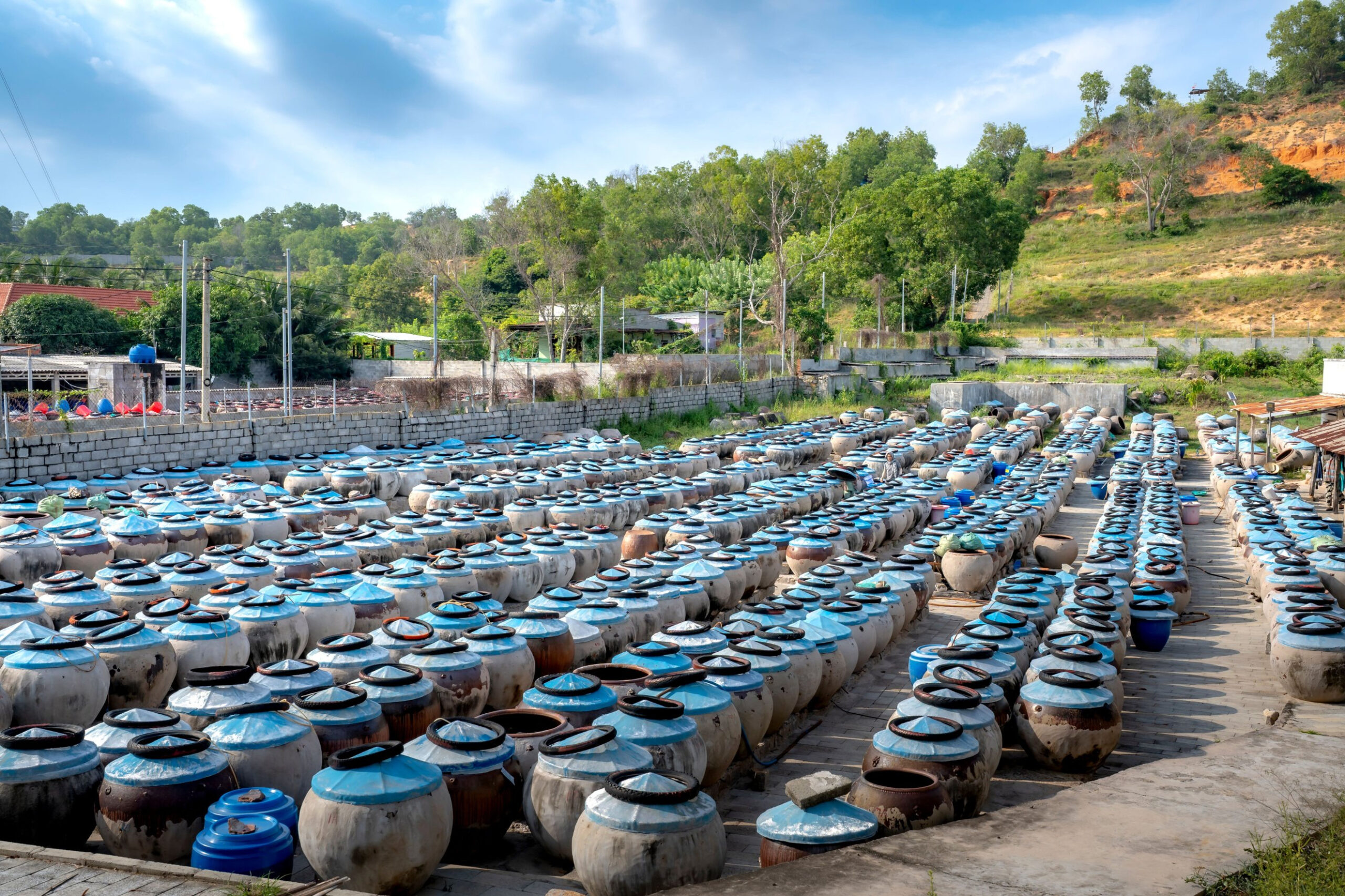 Tour Ninh Chữ 3 Ngày 2 Đêm: Biển Ninh Chữ – Hang Rái – Vườn Nho – Tháp Po Klong Garai