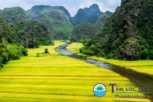 Tour Hà Nội – Ninh Bình – Hạ Long 4 Ngày 3 Đêm