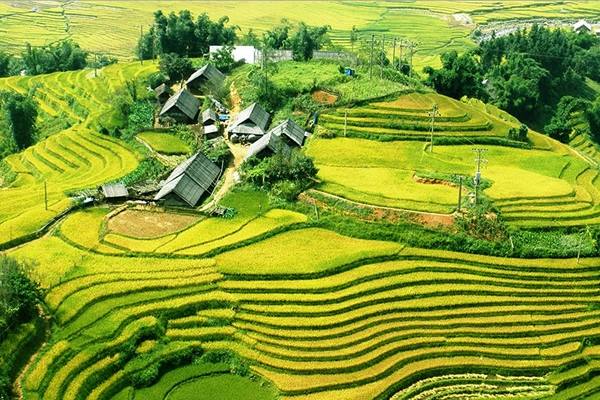 Tour Du Lịch SaPa 3 Ngày 2 Đêm