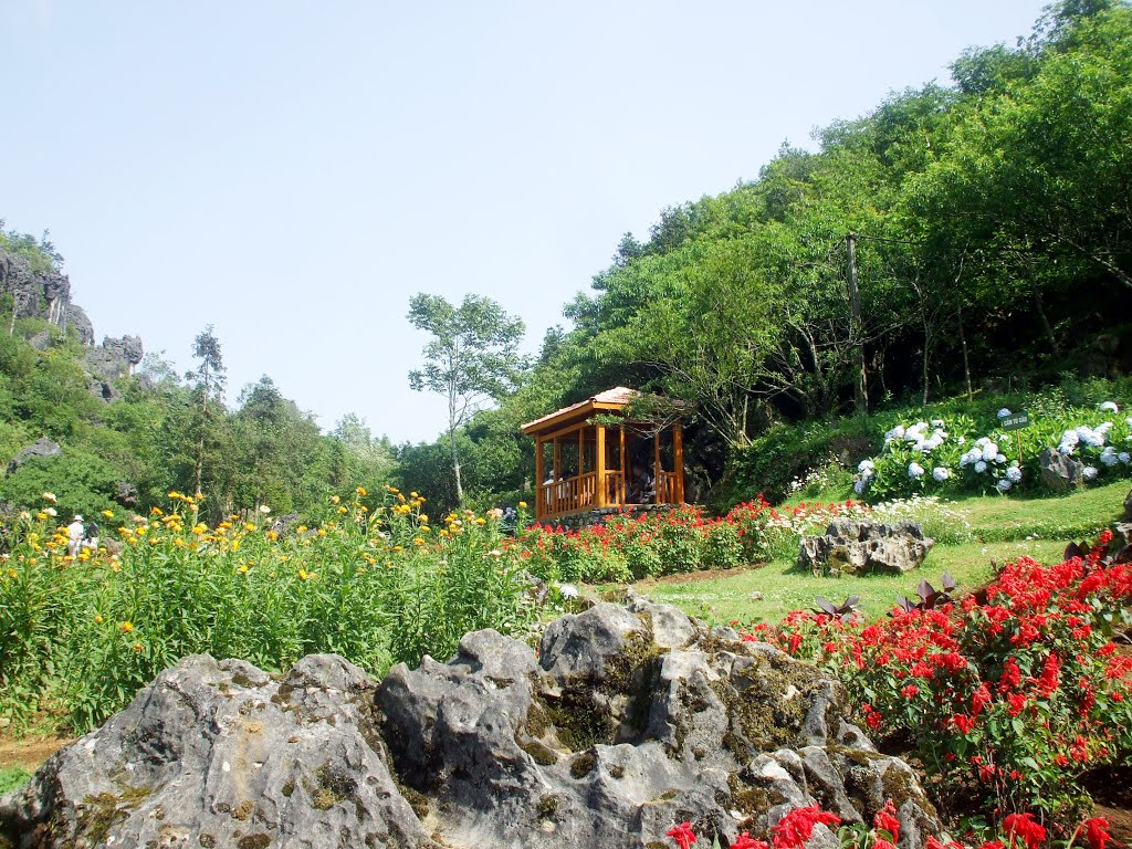 Tour Du Lịch SaPa 3 Ngày 2 Đêm