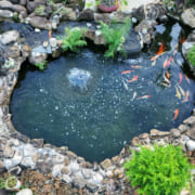 z7160899815404_15e4628d067e0c73d1acc6d9917d1dc0 z7160899815404_15e4628d067e0c73d1acc6d9917d1dc0