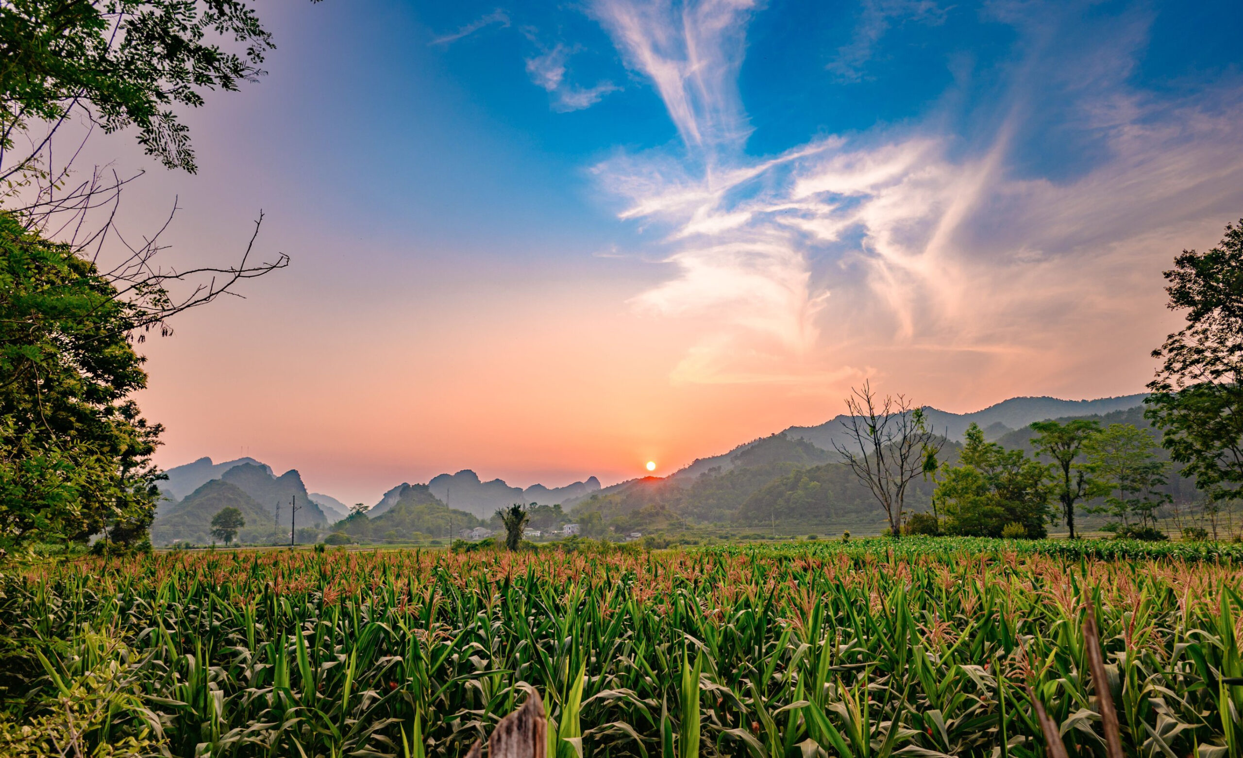 Tour Cao Bằng 4 Ngày 3 Đêm: Thác Bản Giốc – Động Ngườm Ngao – Pác Bó – Núi Mắt Thần