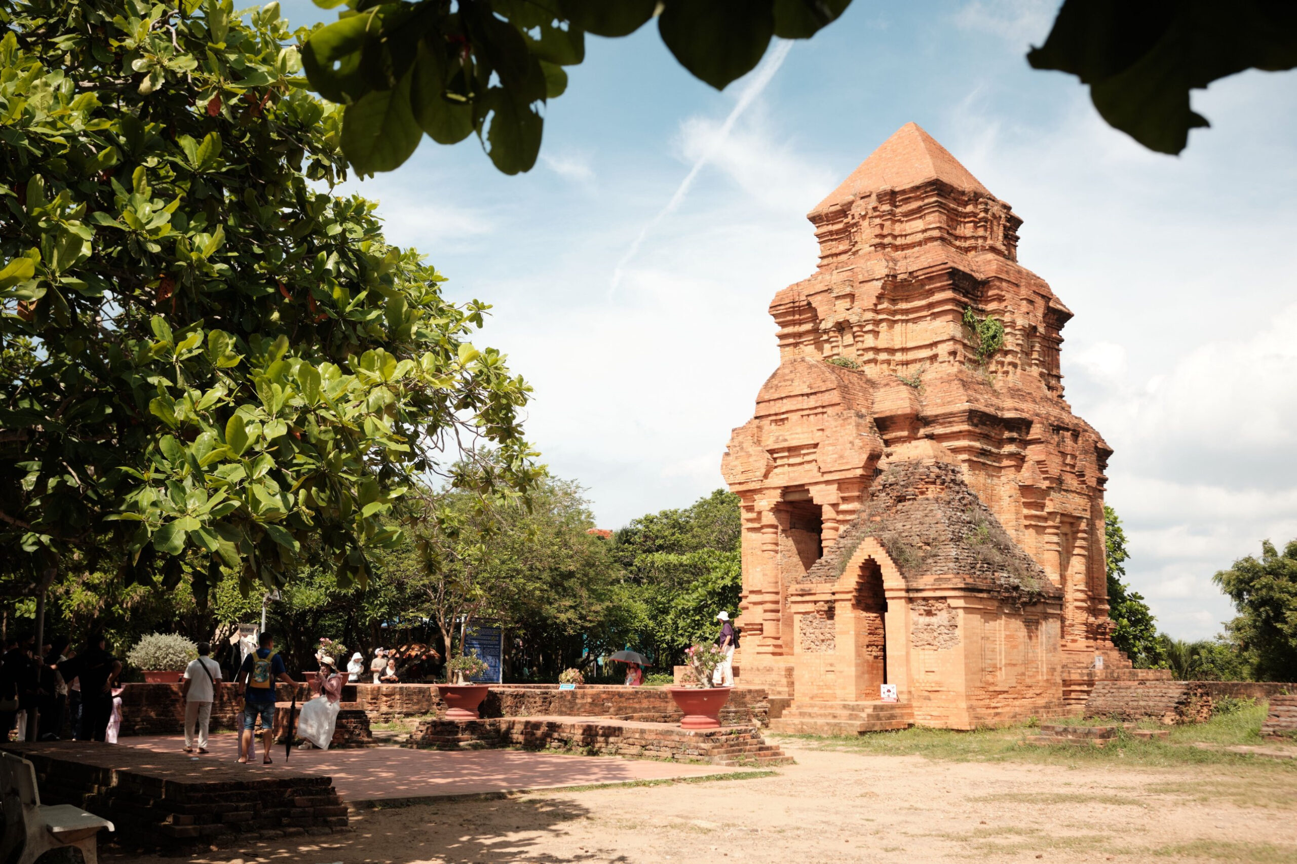Tour Ninh Chữ Nghỉ Dưỡng 4 Ngày 3 Đêm: Resort 4 Sao – Đồi Cừu Tanyoli – Bãi Biển Bình Tiên