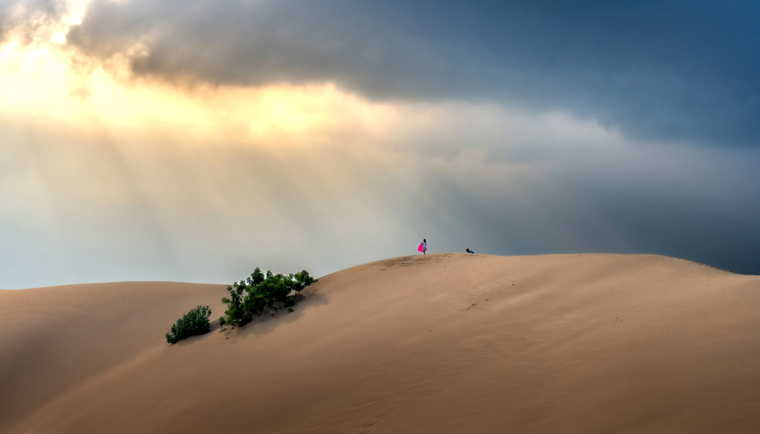 Tour Phan Thiết – Tuy Phong 3 Ngày 2 Đêm: Đảo Cù Lao Câu – Bãi Đá Cổ Thạch – Cánh Đồng Điện Gió