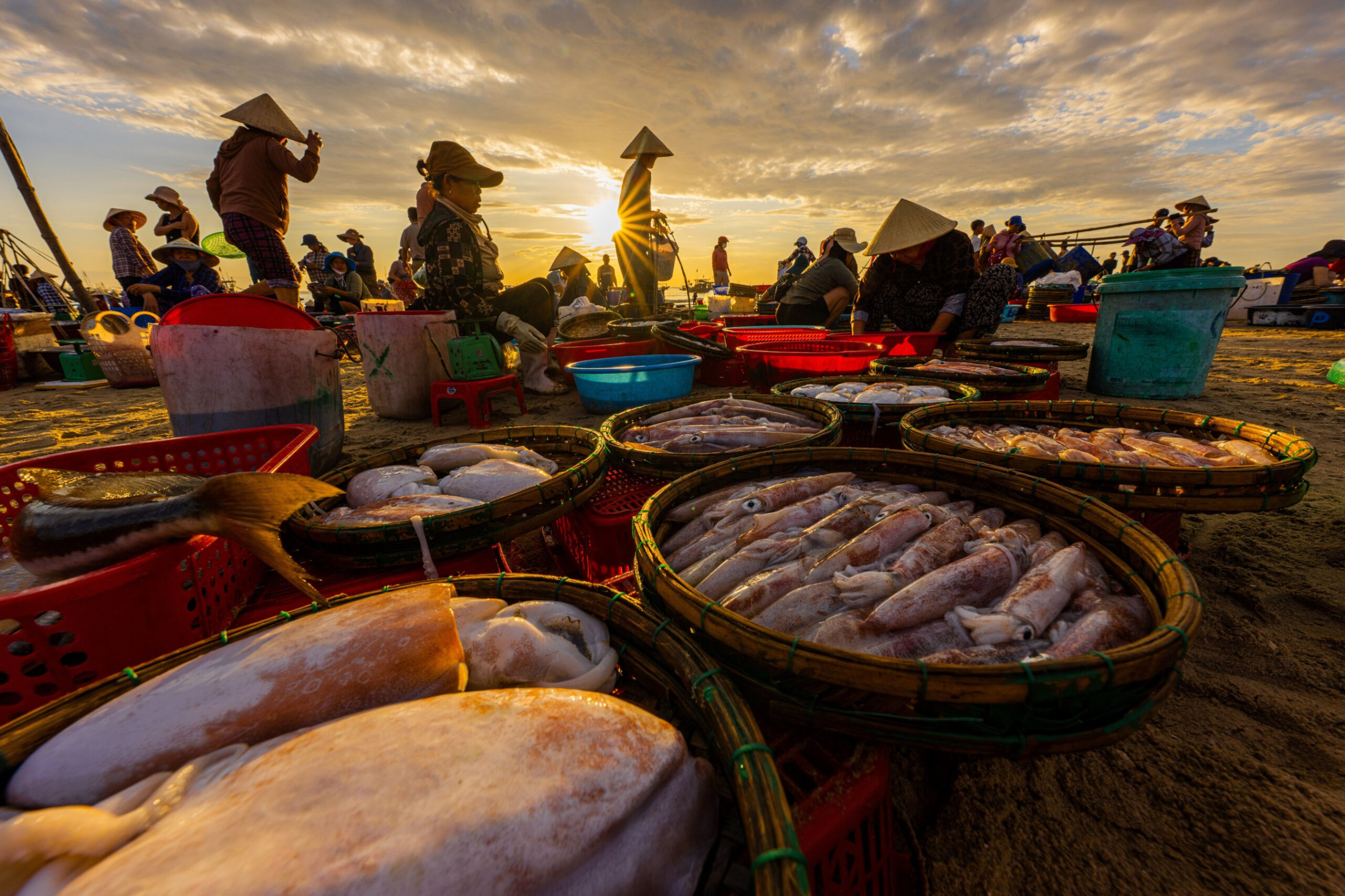Tour Phan Thiết 2 Ngày 1 Đêm: Đồi Cát Bay – Làng Chài Mũi Né – Lâu Đài Rượu Vang