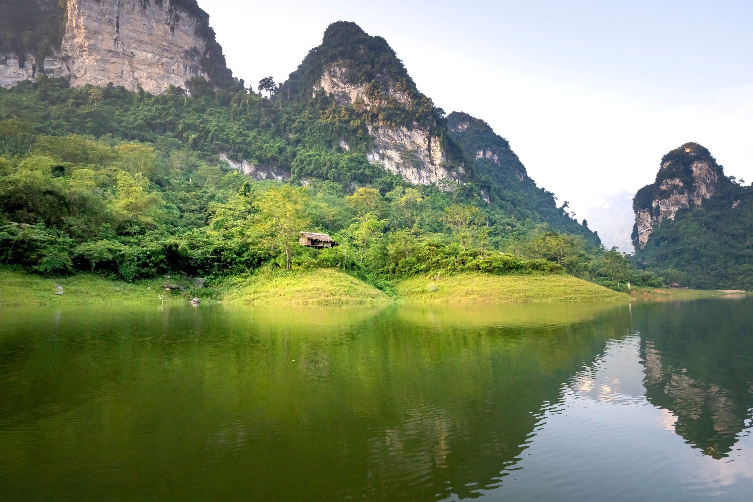 Tour Mộc Châu – Mai Châu 3 Ngày 2 Đêm: Đồi Chè Trái Tim – Cầu Kính Bạch Long – Bản Lác – Xòe Thái