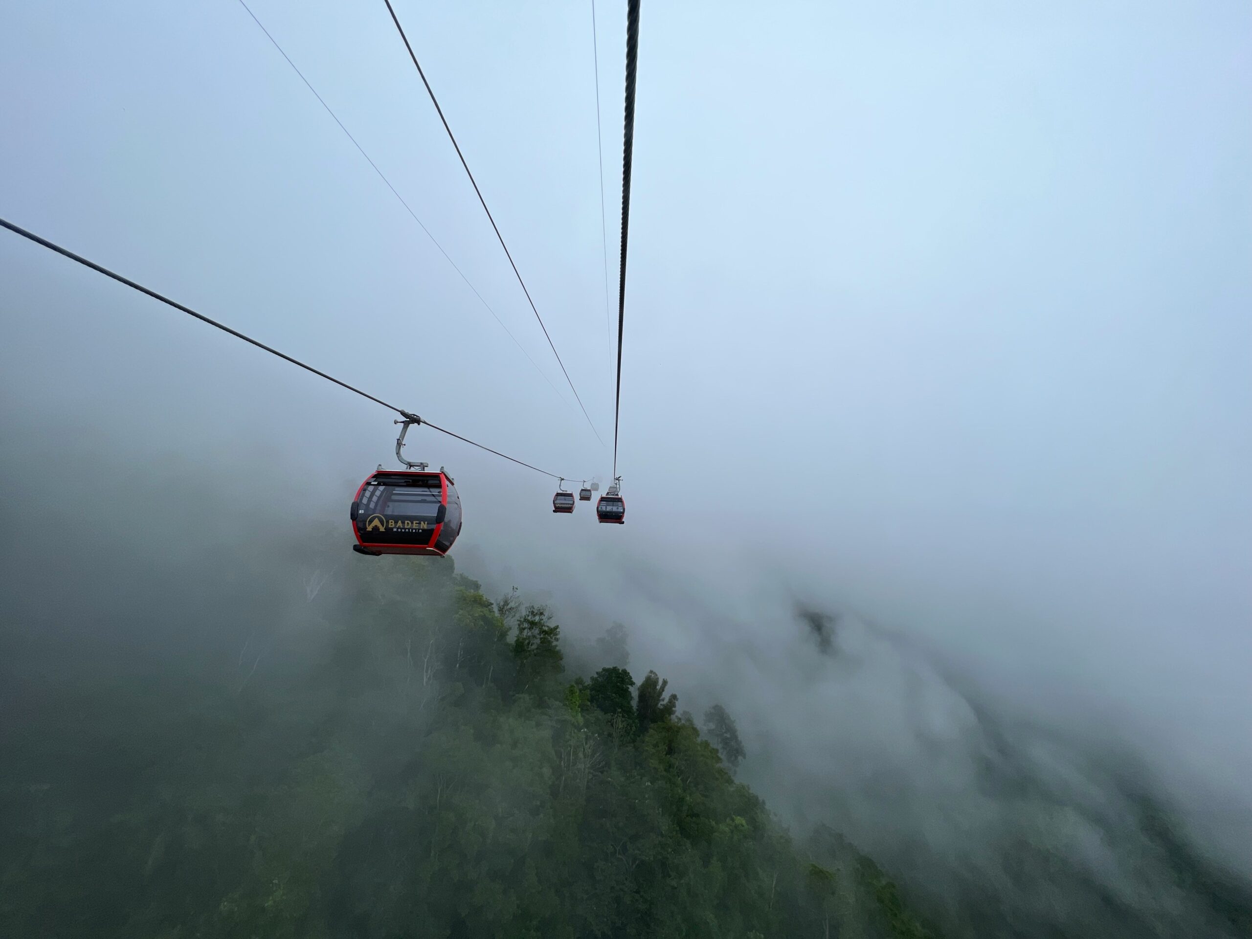 Tour Tây Ninh 1 Ngày: Núi Bà Đen – Tòa Thánh Cao Đài – Vườn Trái Cây Hữu Cơ