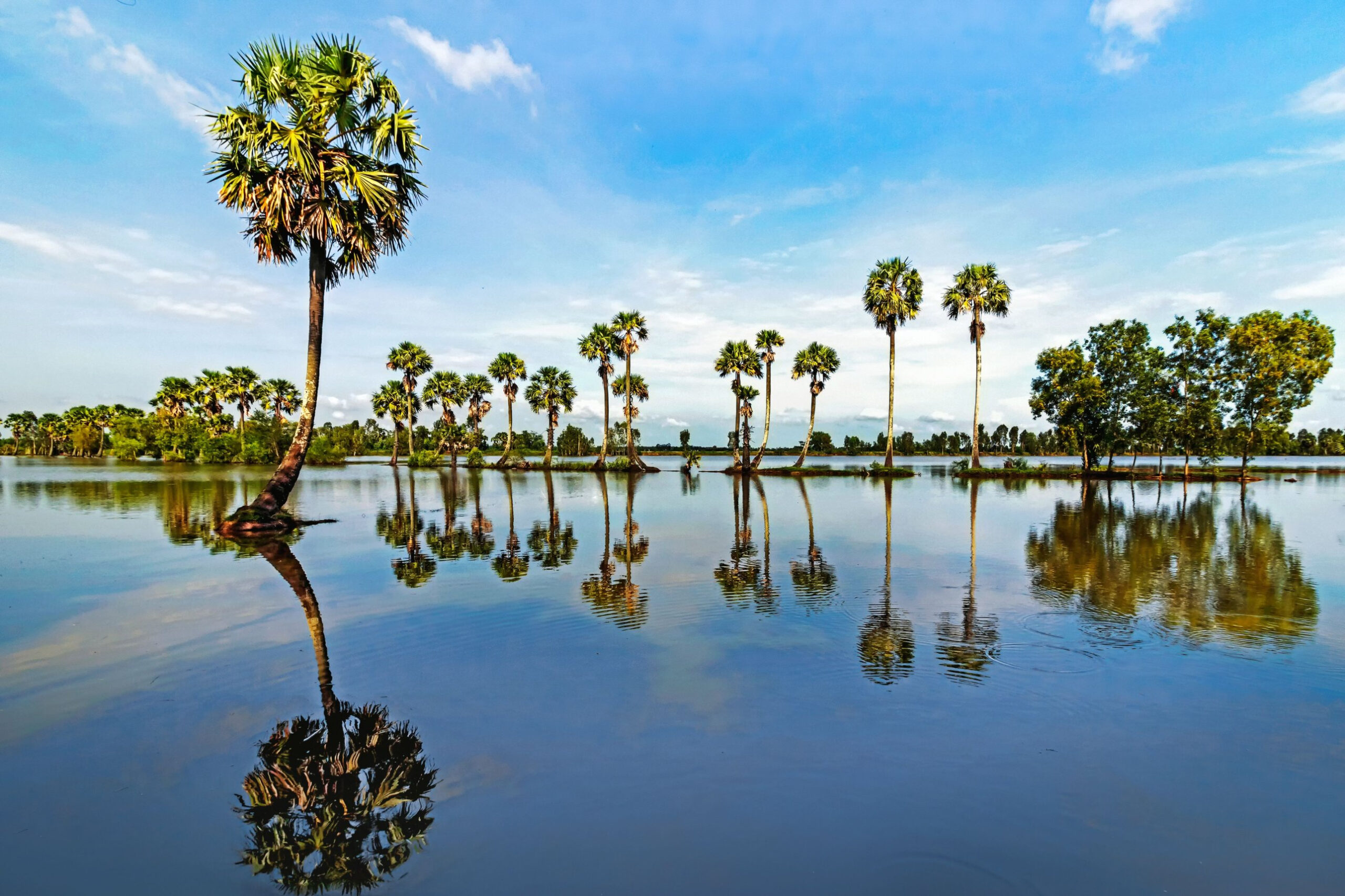 Tour Gò Công – Biển Tân Thành 1 Ngày: Bắt Nghêu – Nhà Đốc Phủ Hải – Lăng Hoàng Gia