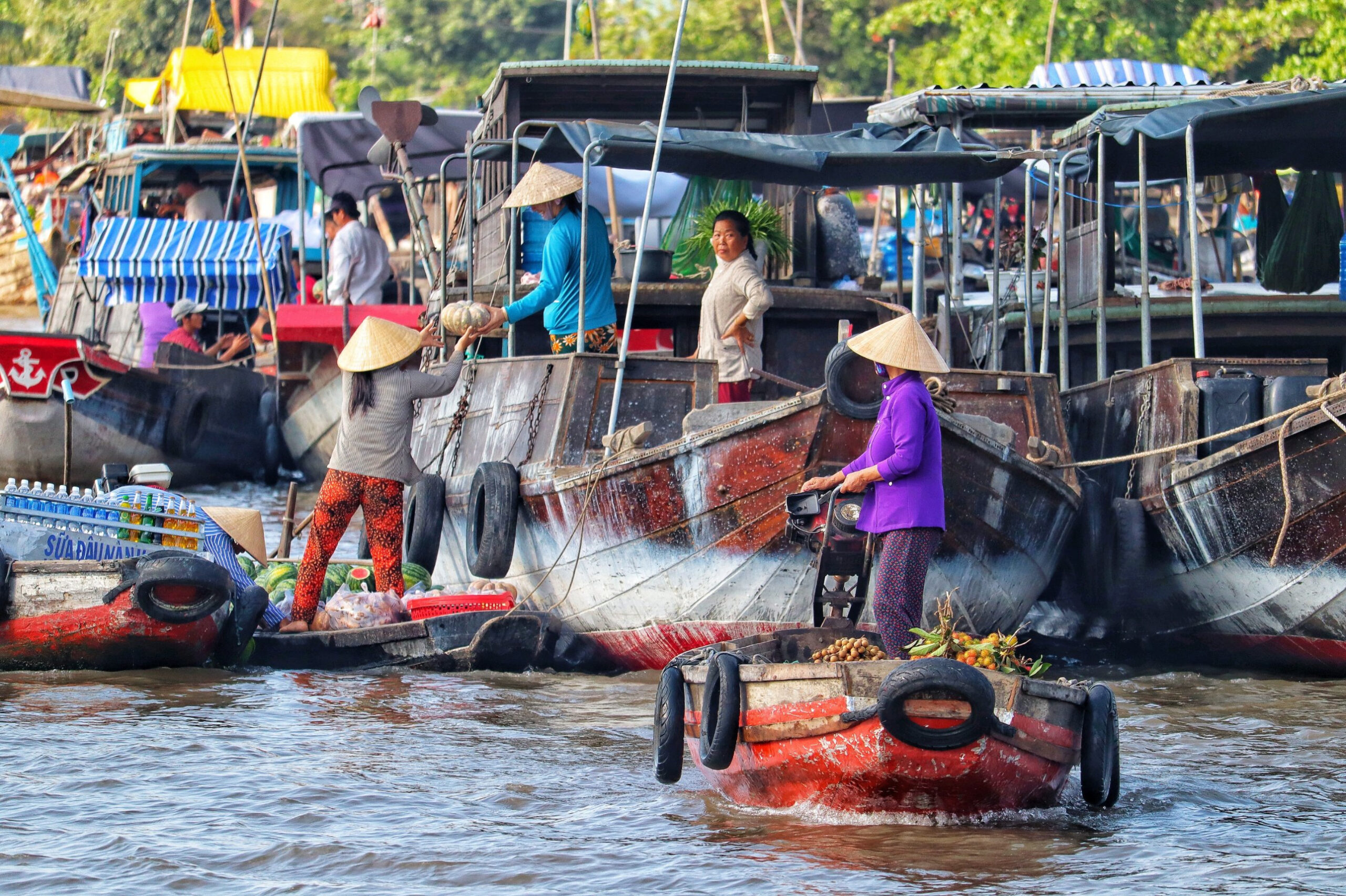 Tour Gò Công – Biển Tân Thành 1 Ngày: Bắt Nghêu – Nhà Đốc Phủ Hải – Lăng Hoàng Gia