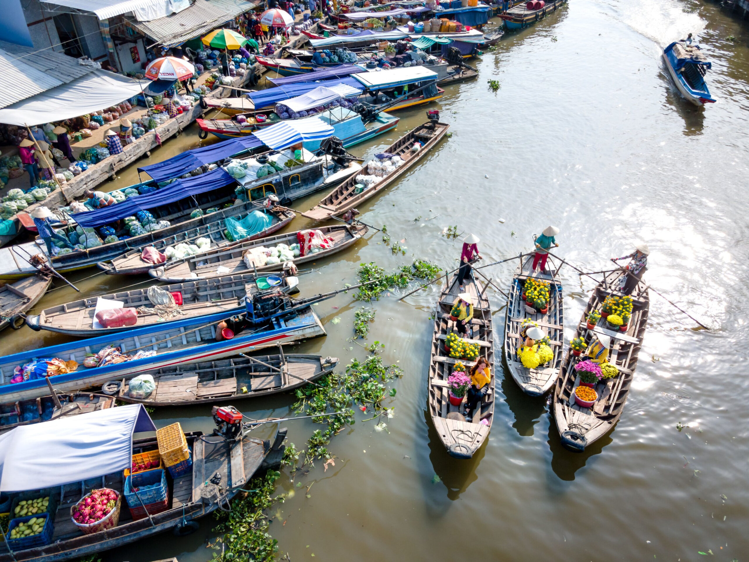 Tour Gò Công – Biển Tân Thành 1 Ngày: Bắt Nghêu – Nhà Đốc Phủ Hải – Lăng Hoàng Gia