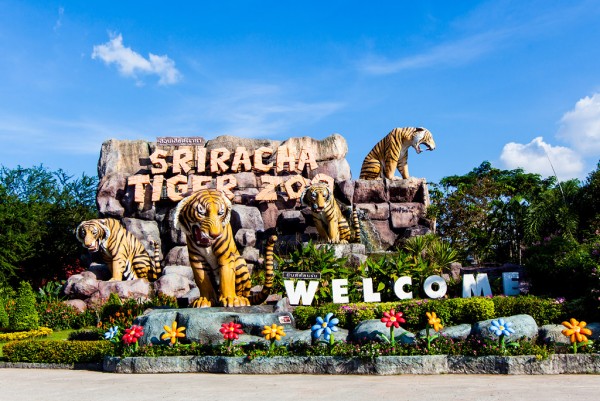 Bangkok – Pattaya 5 Ngày 4 Đêm
